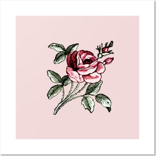 Shabby chic vintage rose Posters and Art